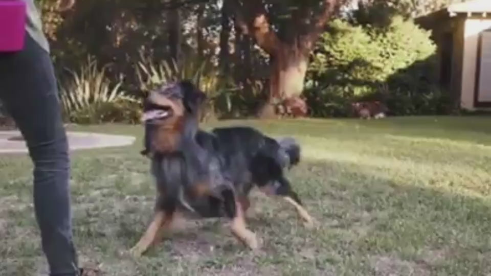 La célèbre pochette basket originale