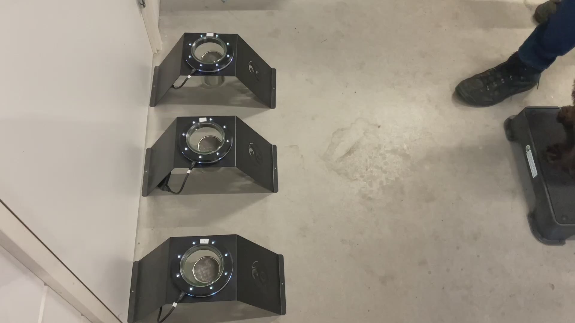 ACT! Smart Ring – l’avenir de l’entraînement à la détection.