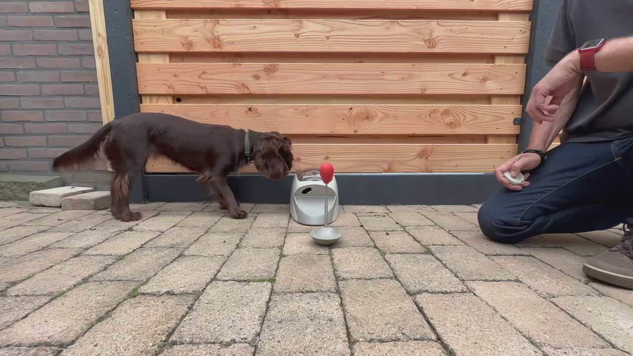 Mangeoire à friandises et train