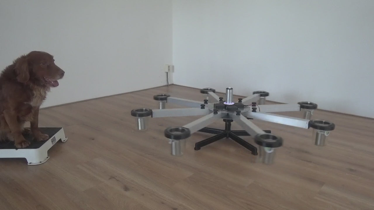 Online course Scent wheel training (English)