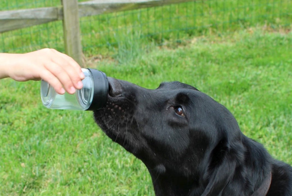 TADD The revolutionary Odor Delivery Device - Simon Prins