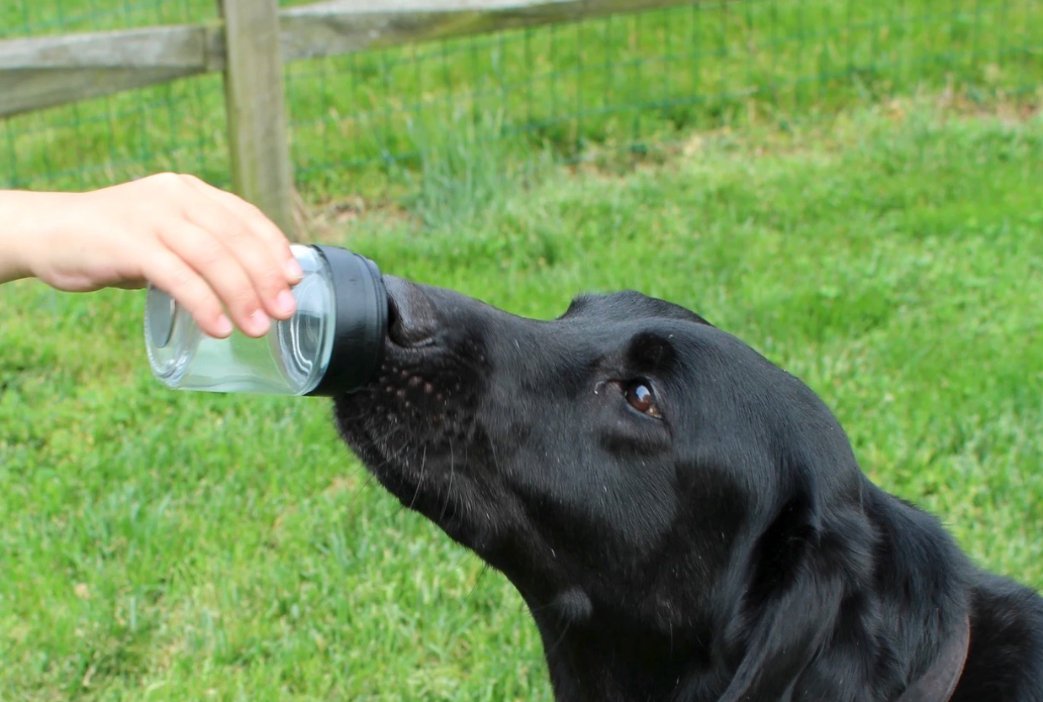 TADD The revolutionary Odor Delivery Device - Simon Prins