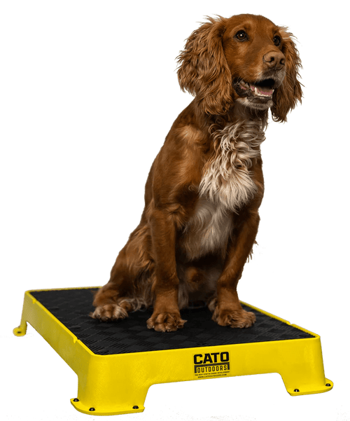 Cato boards - Simon Prins