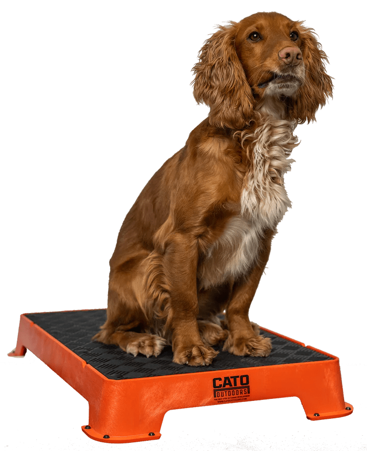 Cato boards - Simon Prins