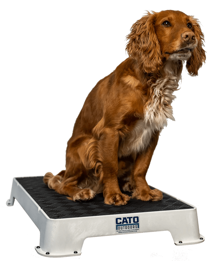 Cato boards - Simon Prins