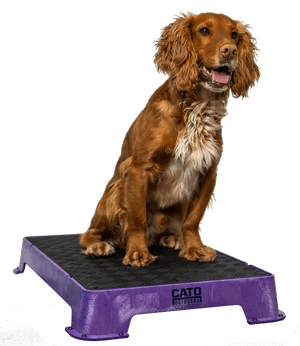 Cato boards - Simon Prins