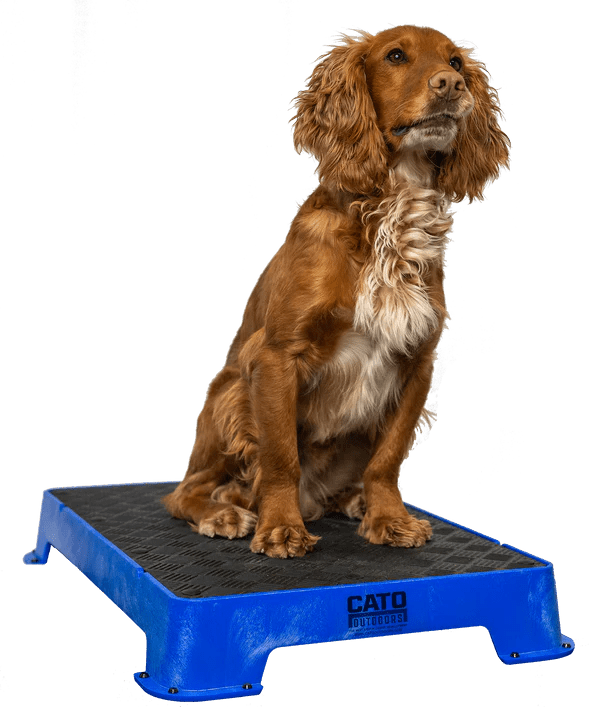 Cato boards - Simon Prins