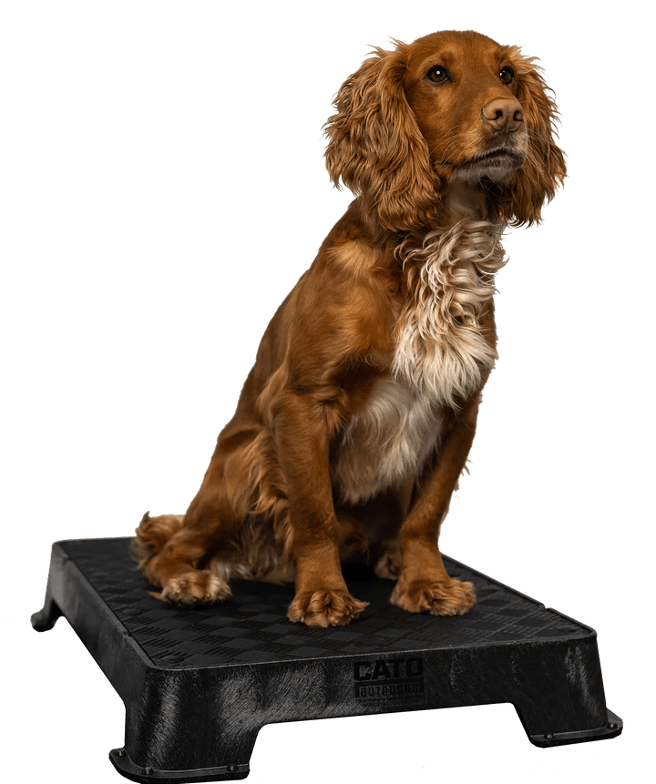 Cato boards - Simon Prins