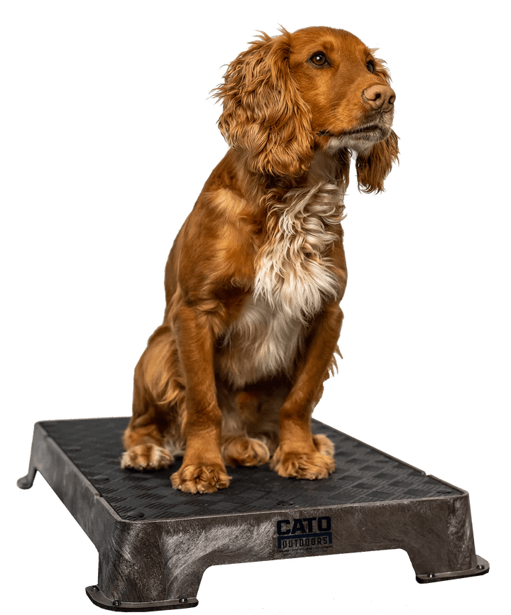 Cato boards - Simon Prins